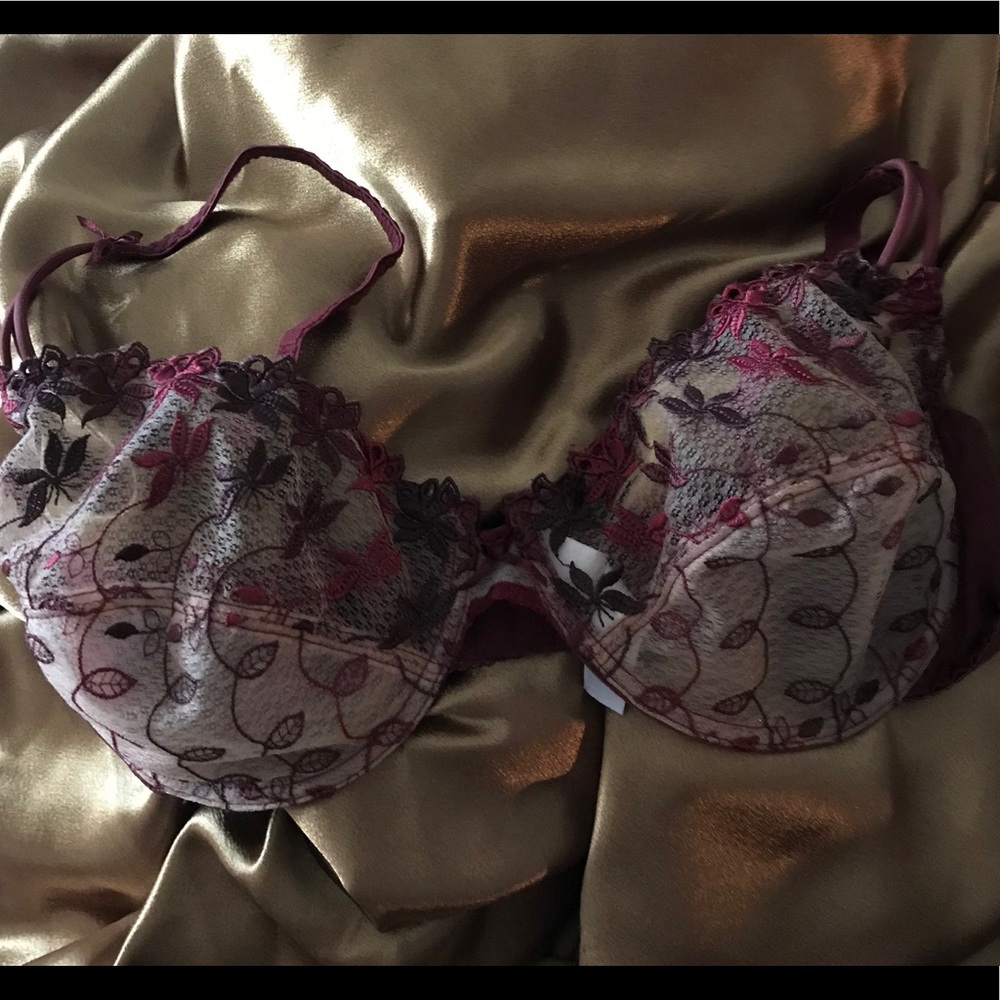 Suzanne Vega Burgundy Sheer Floral Lace Bra Set